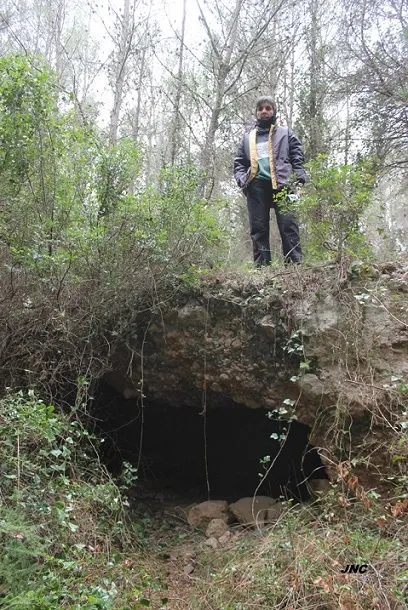 Cova de Sant Isidre