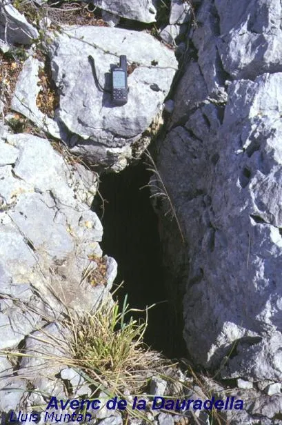 Avenc de la Dauradella