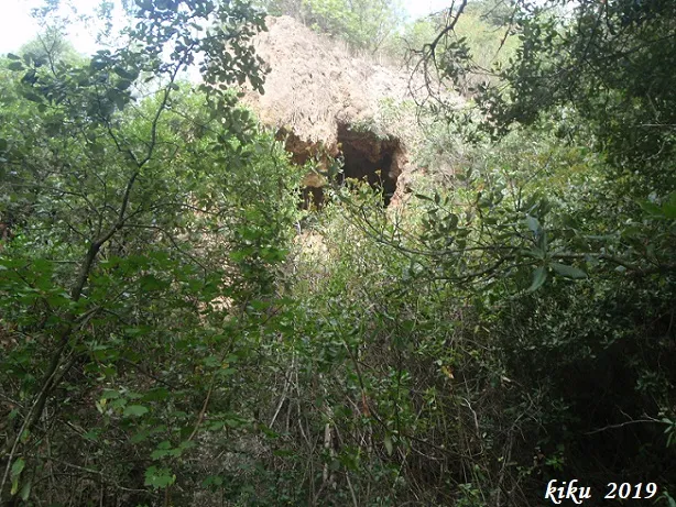 Cova de les Tosques del Glorieta
