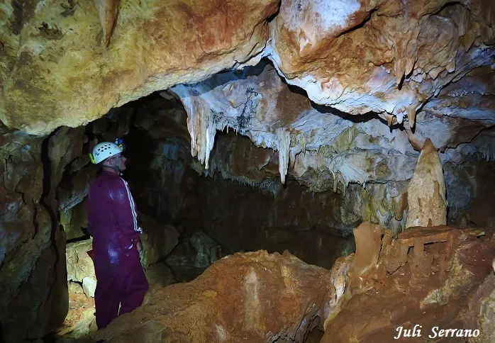 Cova Bonica