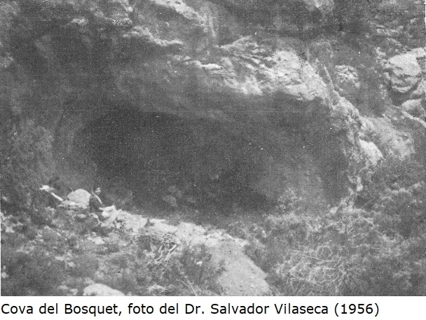 Cova del Bosquet