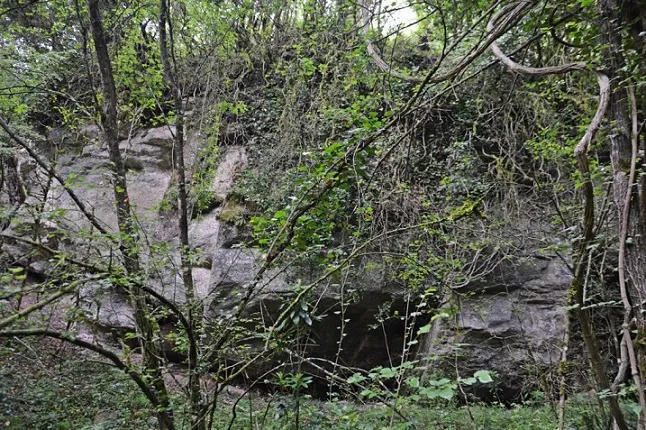 Balma del Coll Triador