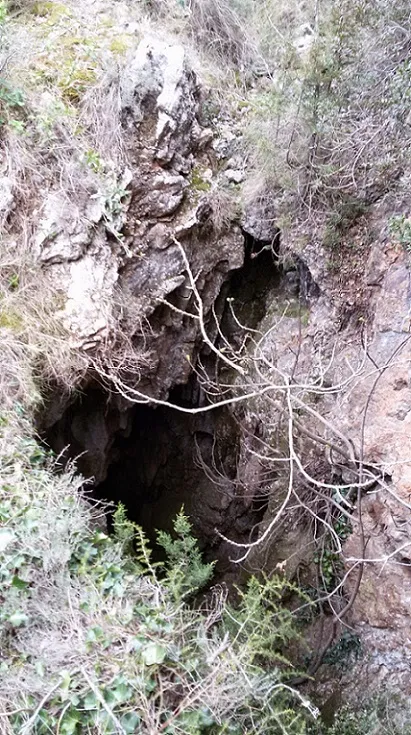 Avenc del Sot d'óssos