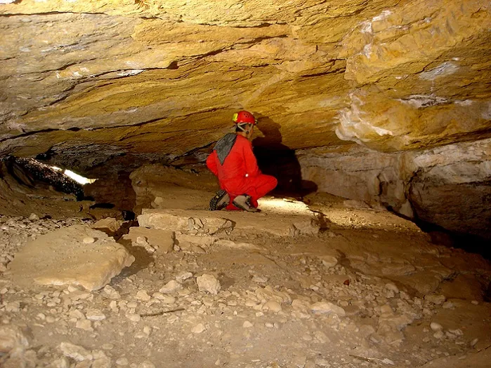 Cova de la Coma Closa Superior