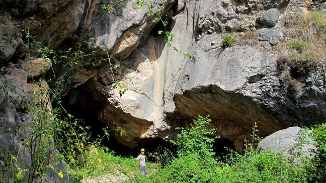 Cova del Torrent