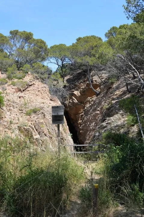 Sa Roncadora