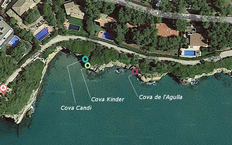 Cova Kinder