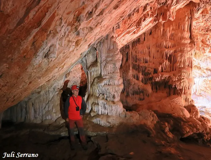 Cova Bonica