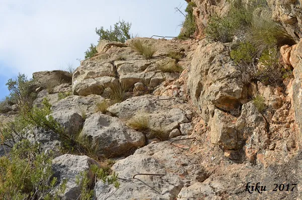 Cova dels Graons