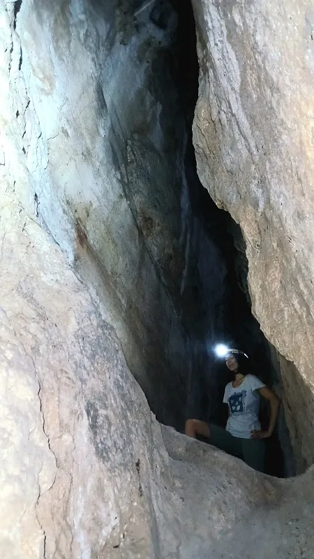 Foto Cova de l'ínsula