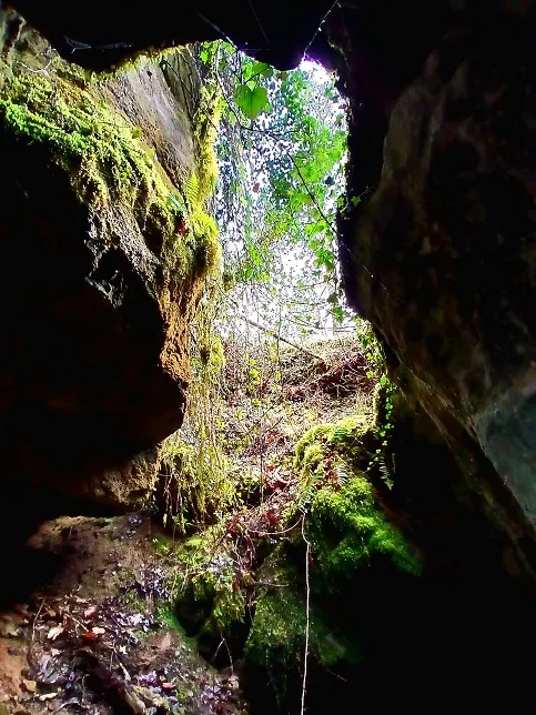 Foto Bòfia de l'Adelina