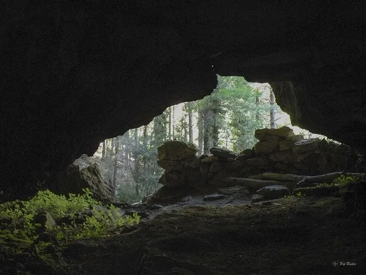 Cova de la Roja