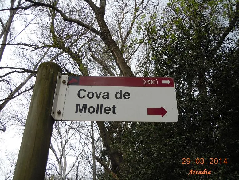 Cova d'en Mollet