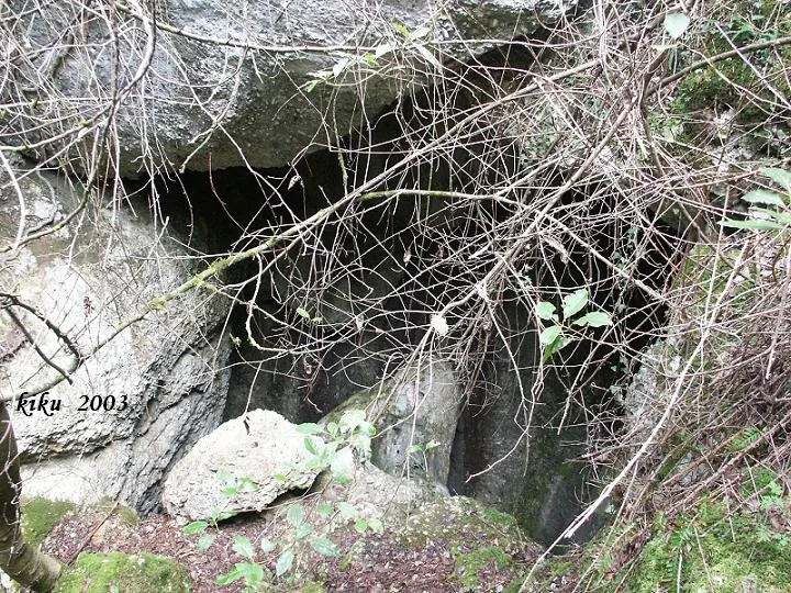 Cova de la Taverna