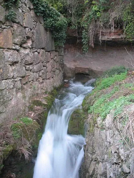 Mentirosa de Monistrol