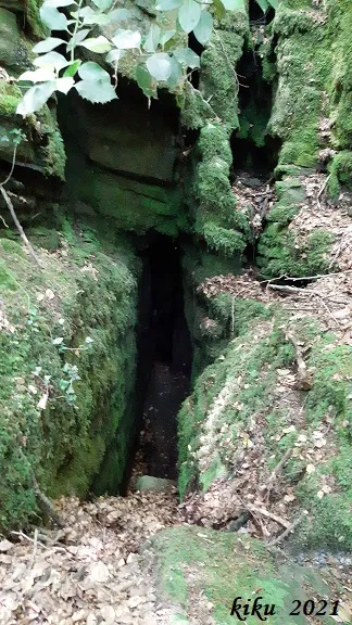 Cova de les Angúnies