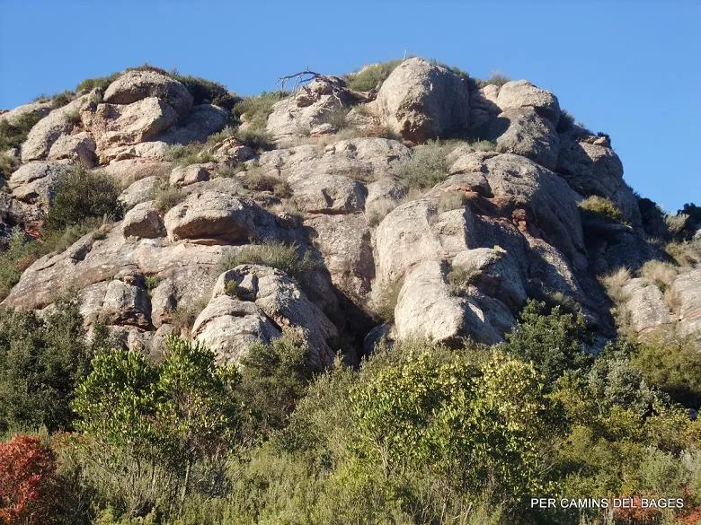 Cova dels Lladres