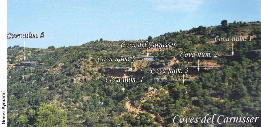 Coves del  Carnisser