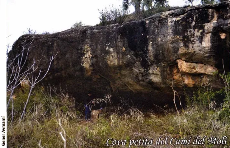 Cova Petita del Camí del Molí