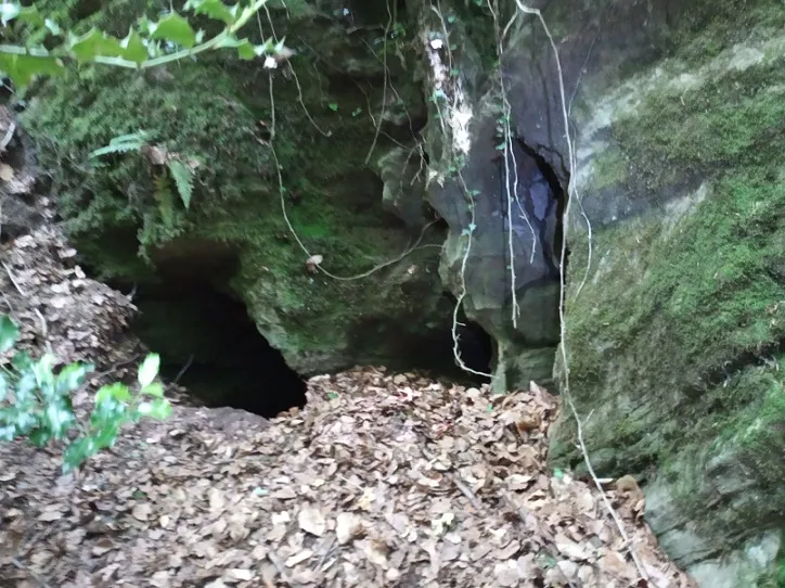 Cova del Llop