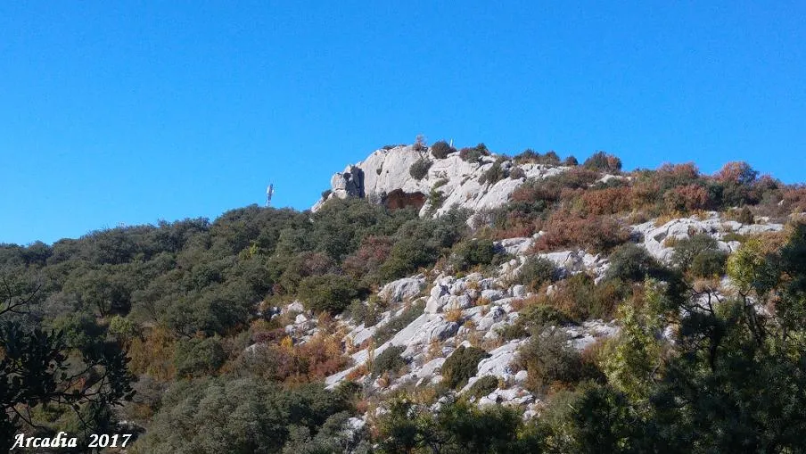 Balma del Cogulló
