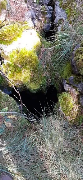 Avenc del Vernús