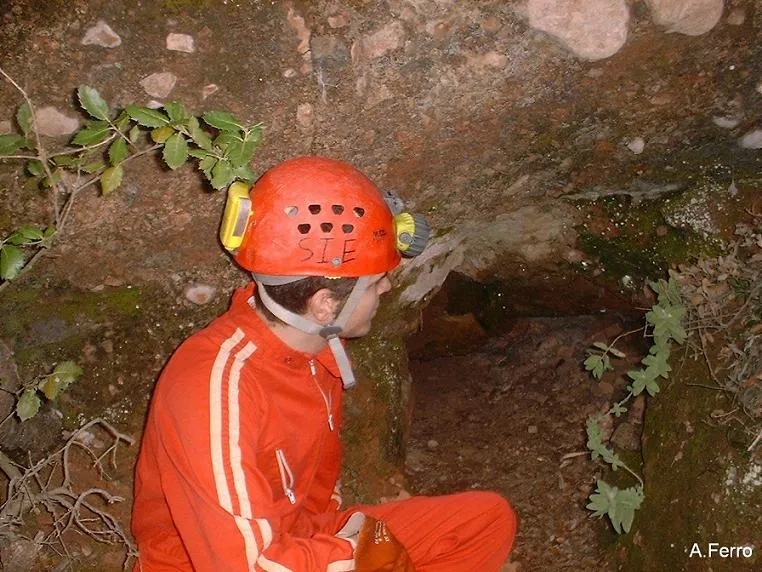 Cova dels Toixons