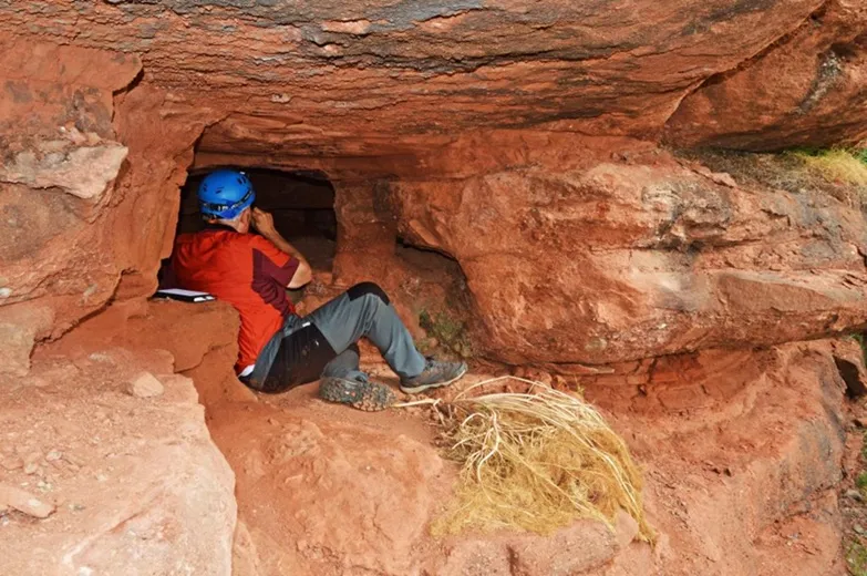 Cova del Jandet