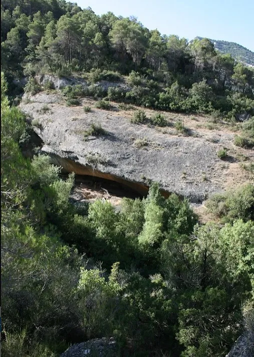 Coves del Fem