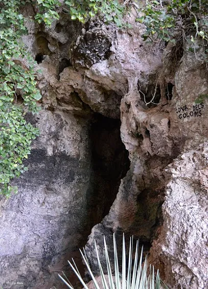 Cova dels Coloms