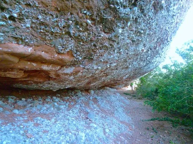 Balma de la Cara Nord del Montcau