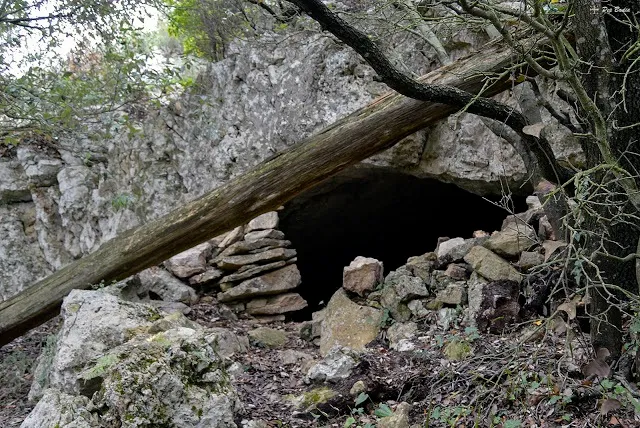 Cova Pigotosa