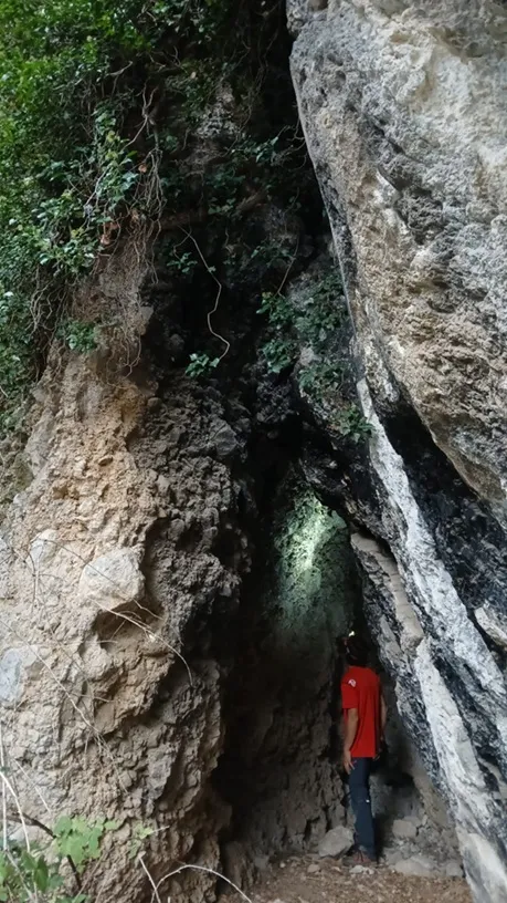 Cova de Picamill de Baix