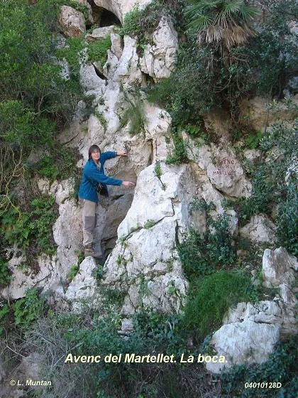 Avenc del Martellet