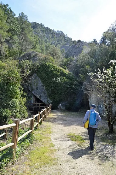 Cova d'en Ximet