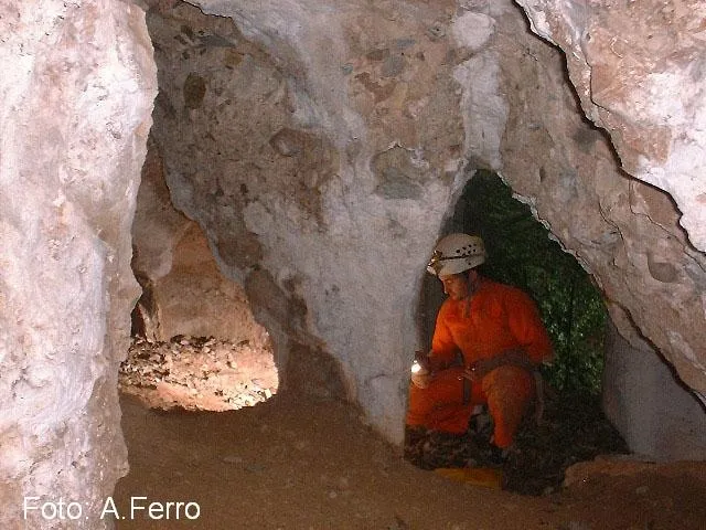 Cova Clara