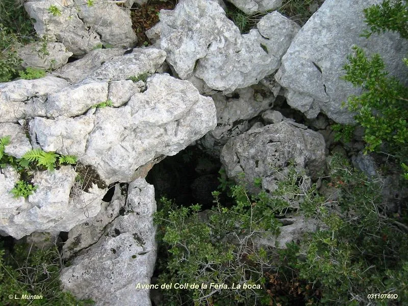 Avenc del Coll de la Ferla