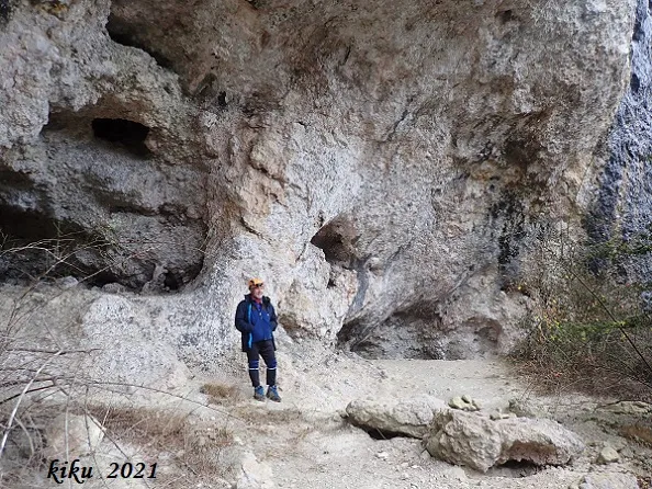 Balma del Racó del Bosquetà