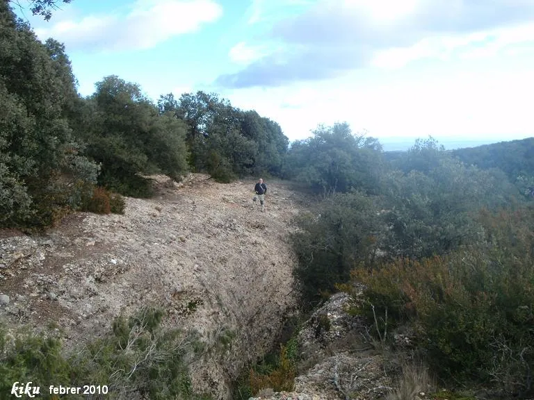 Pou dels Graells