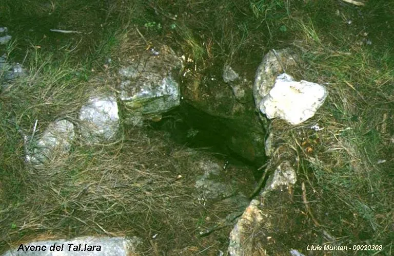 Avenc del Tal•lara