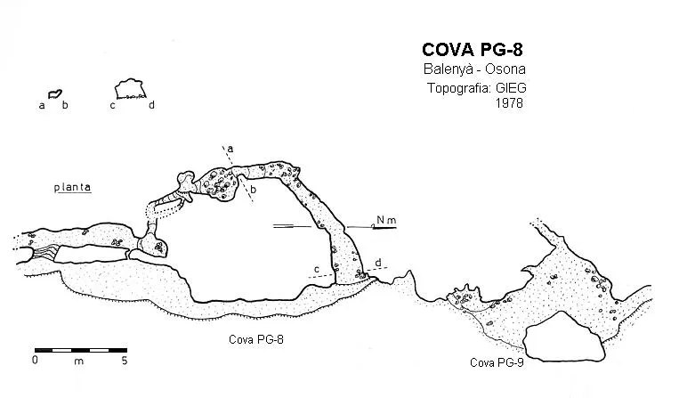 Cova Pg-8