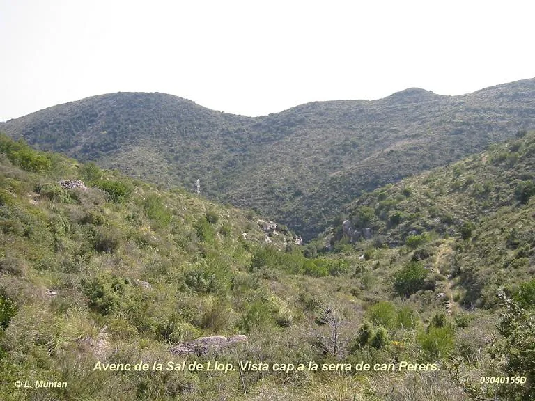 Avenc de la Sal de Llop