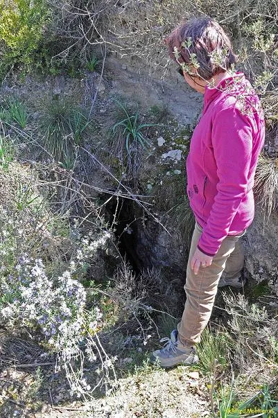 Cau de Mossèn Benet