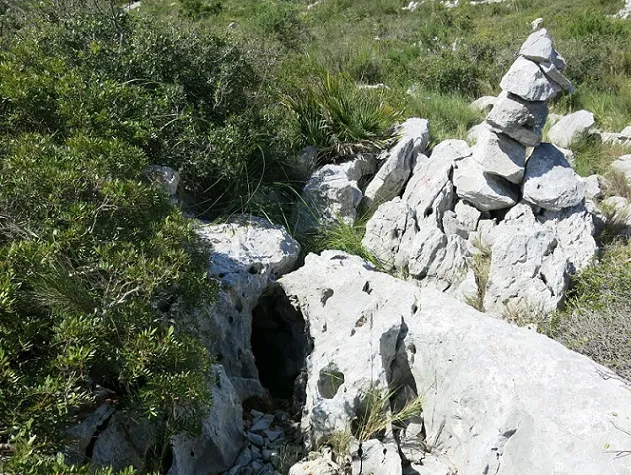 Avenc de les Branques