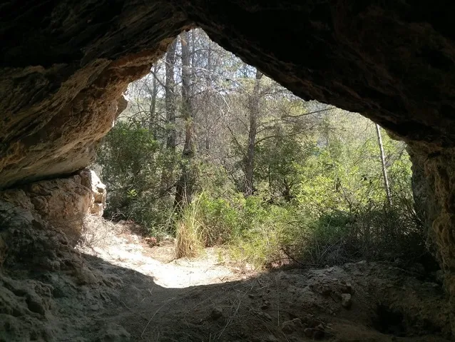 Coves Maleïdes