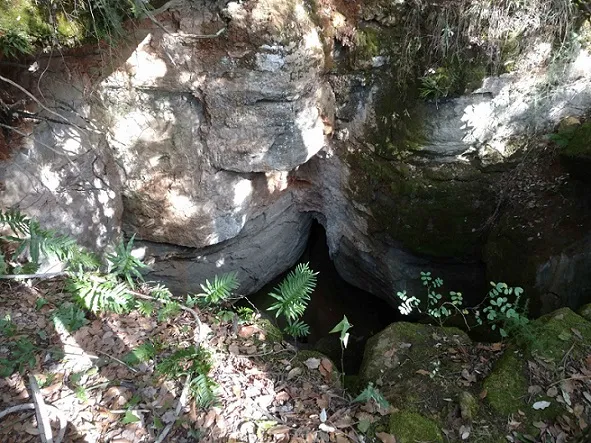Avenc del Bloc