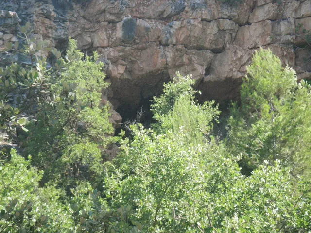 Coves de la Riera de Pontons
