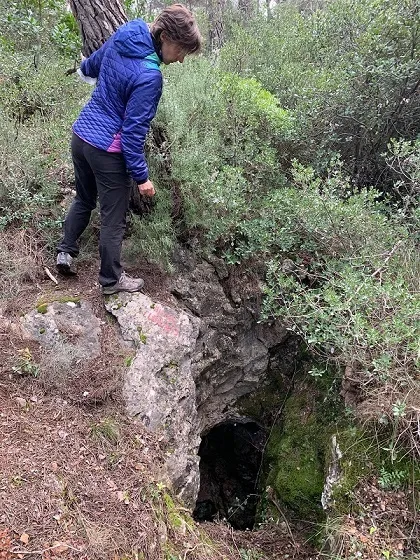Avencó Clar Nº3