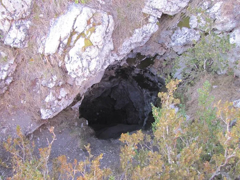 Avenc de la Caseta Forestal