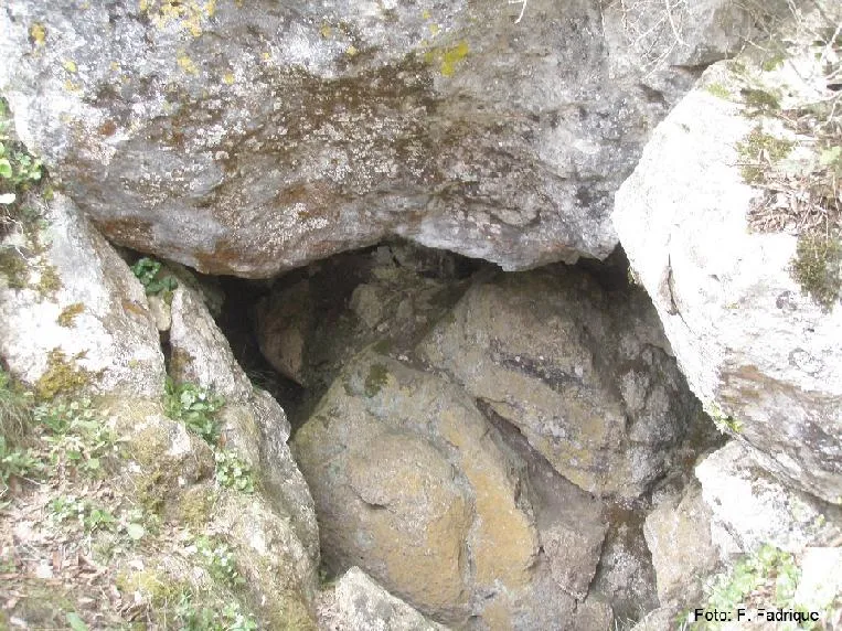 Cova Freda